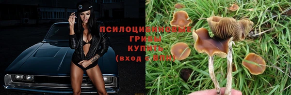 дмт Нея