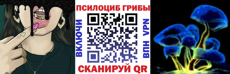 Псилоцибиновые грибы прущие грибы  Ейск 