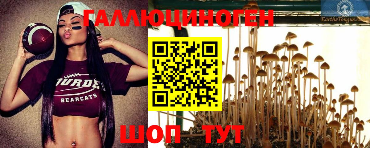 Псилоцибиновые грибы GOLDEN TEACHER  Вход с VPN  Ейск 